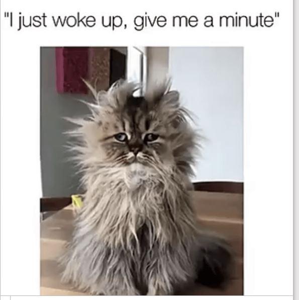 just woke up