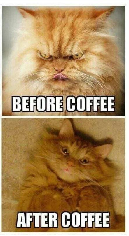 before after coffee