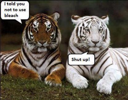 Dont use bleach