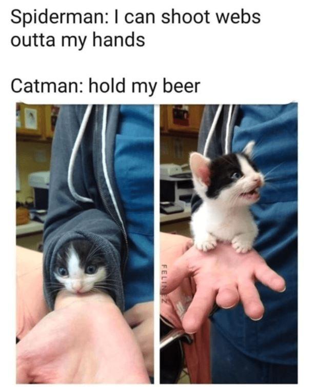 catman